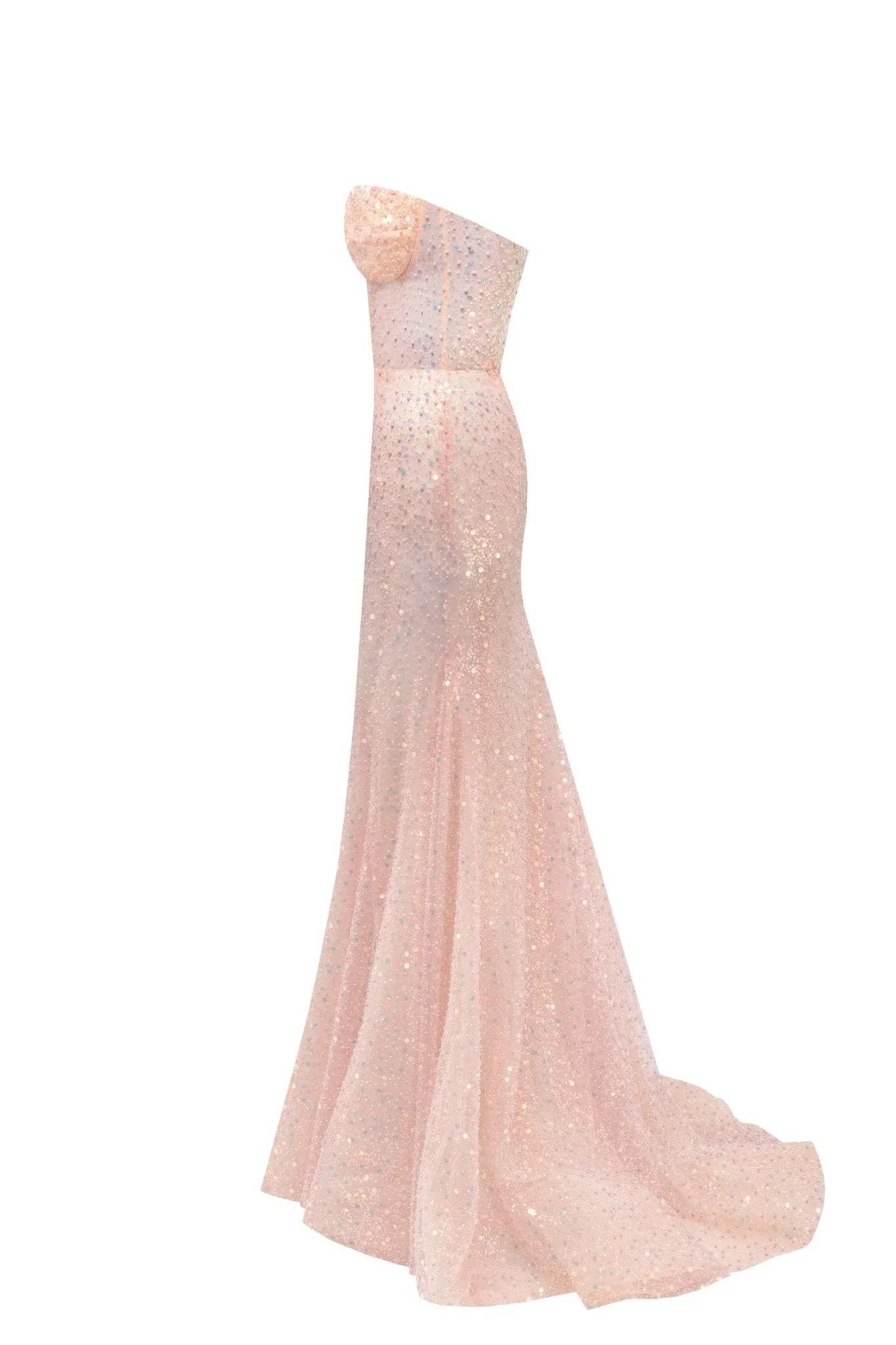 Entrance-worthy semi-transparent rose gold maxi sequined dress